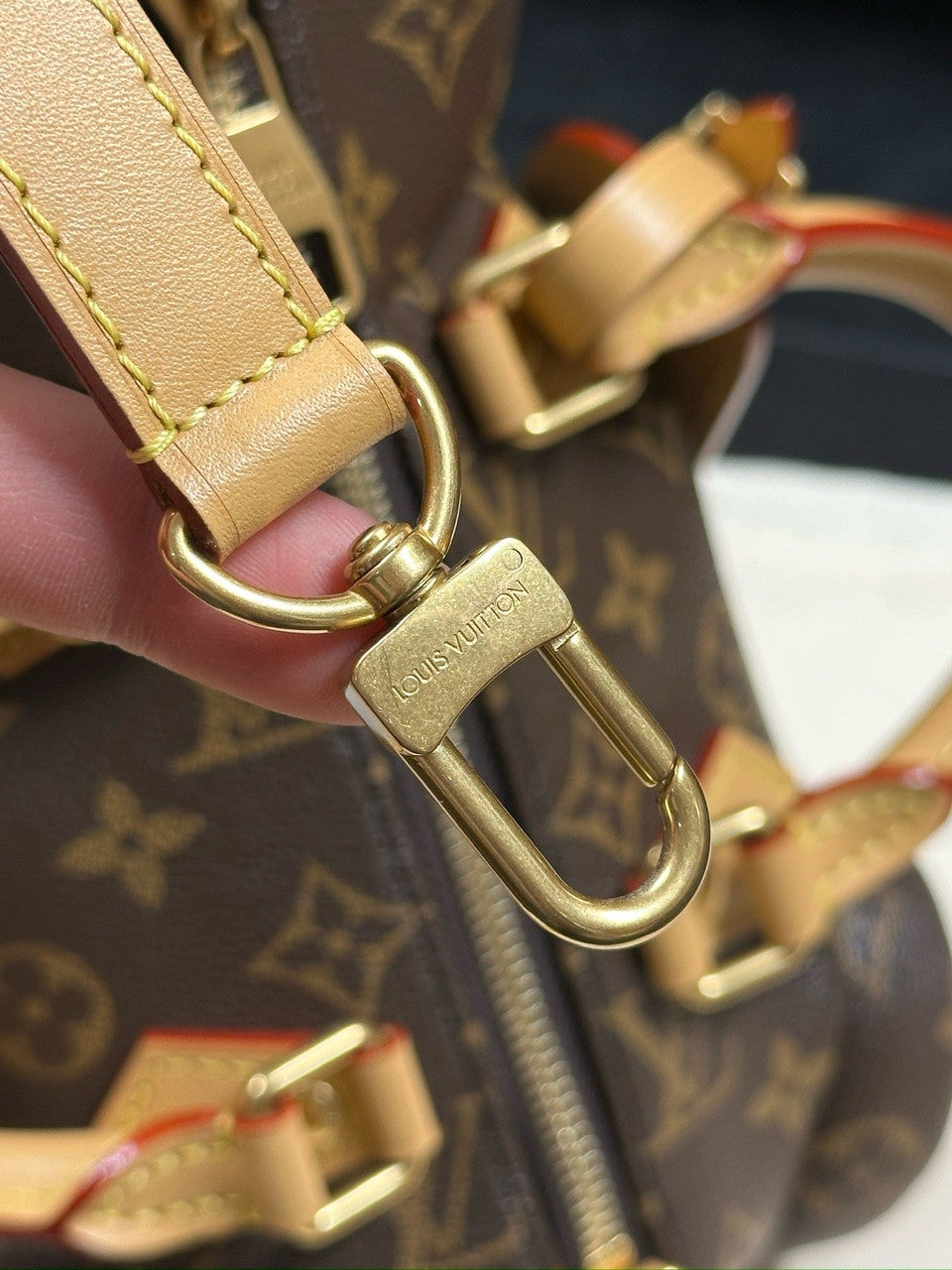 Louis Vuitton M12617 Pooch Bag Louis Vuitton