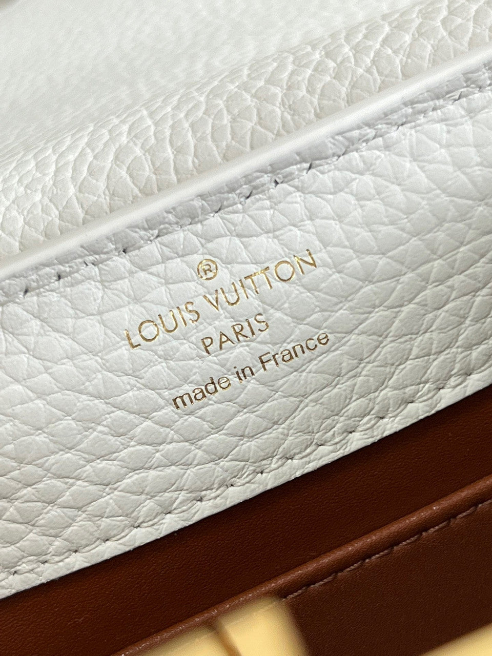 Louis Vuitton M59864 CAPUCINES MINI BAG