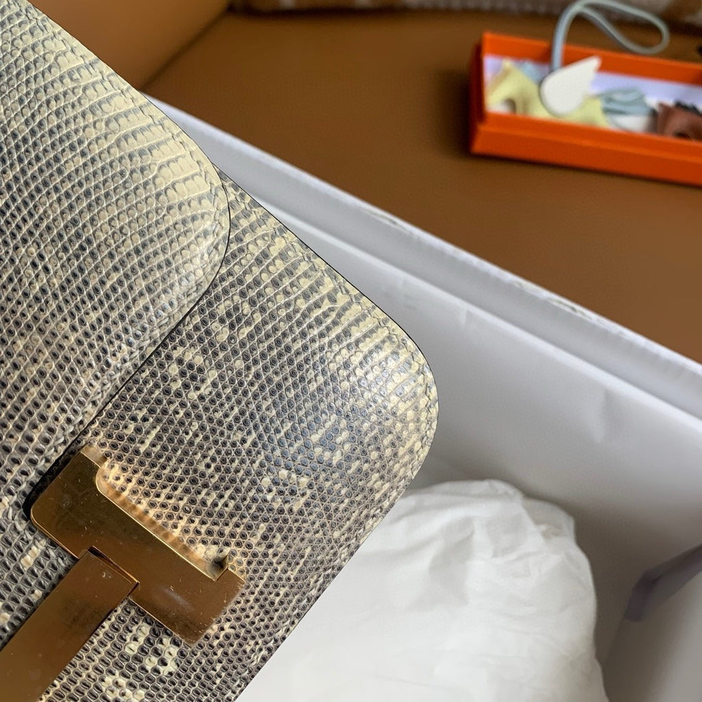 Hermes Constance 18 Ombre Lizard Gold Hardware Hermes