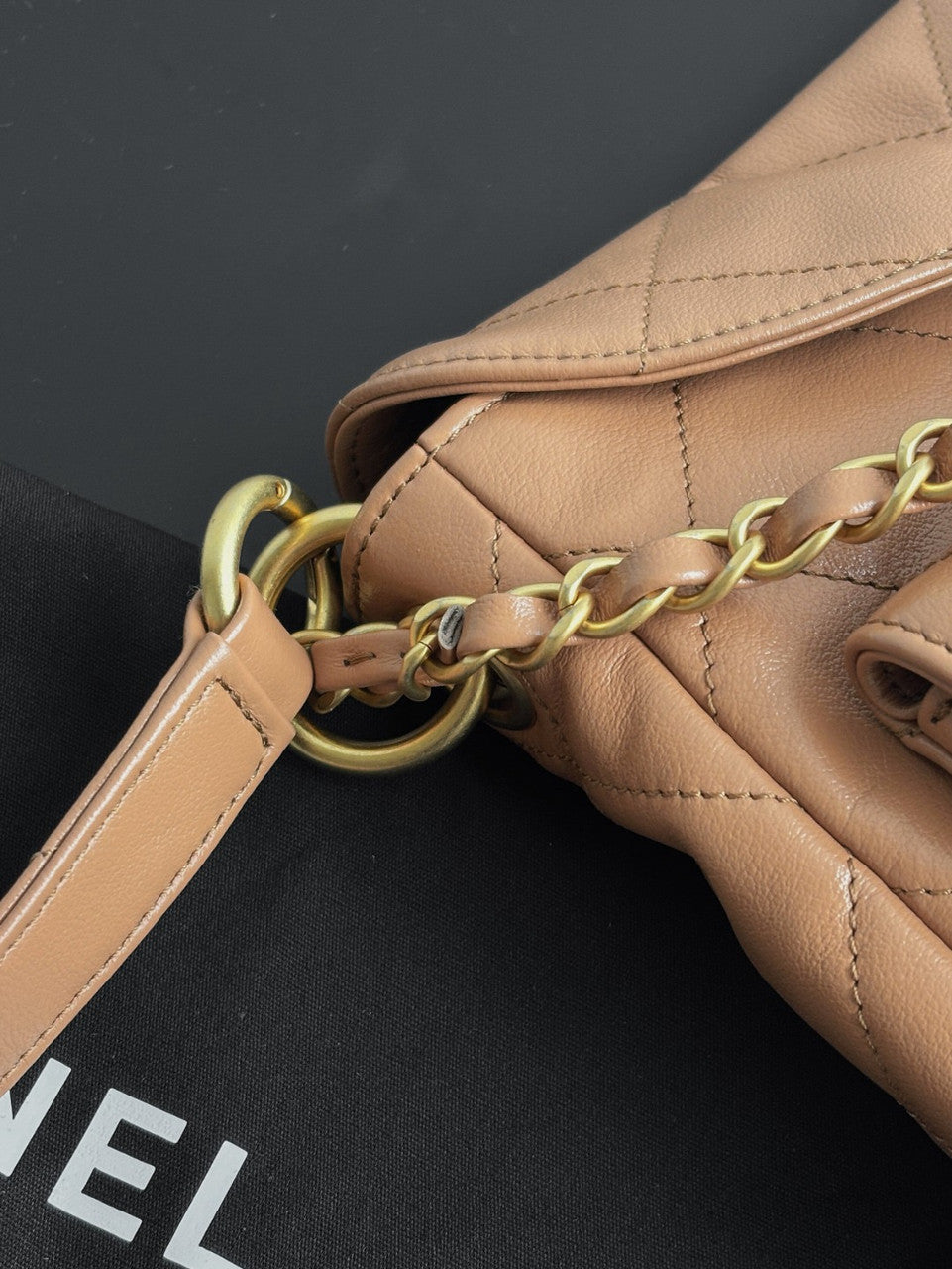 Chanel Supple Twins Hobo Bag Brown Small  2024
