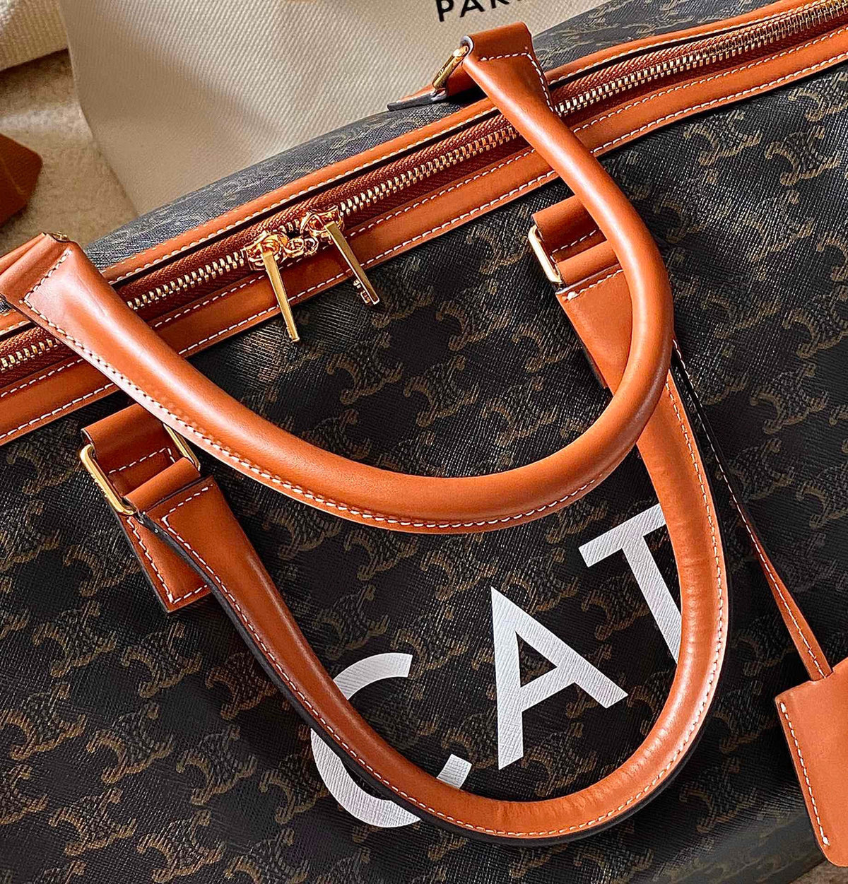 CELINE TRAVEL 50 IN TRIOMPHE CANVAS WITH CAT PRINT TAN