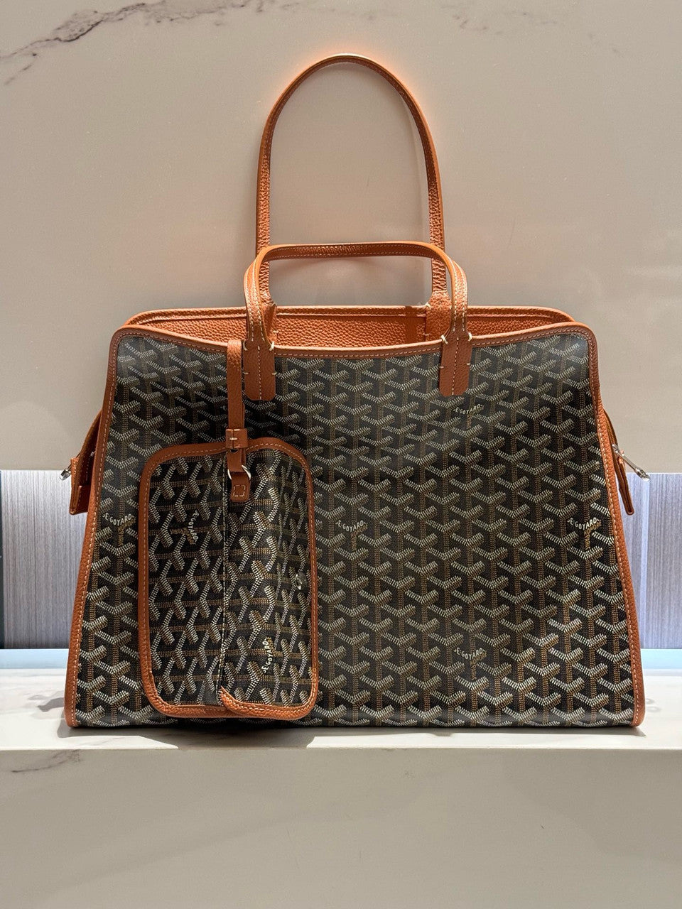 Goyard Hardy PM Bag Black & Tan