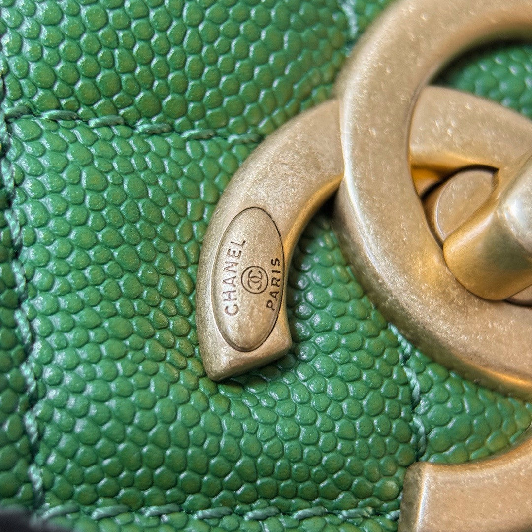 Chanel Medium Co Co Lizard Top Handle Green Flap Bag
