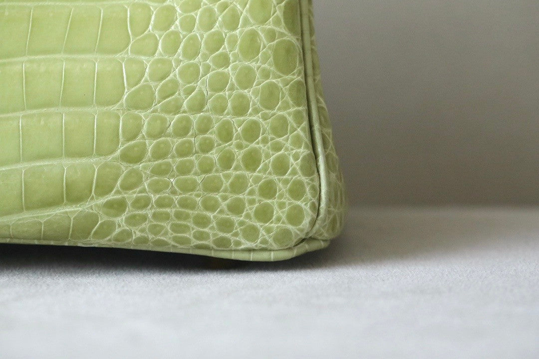 Hermès Birkin 25 Vert Anis Shiny  Crocodile Niloticus Gold Hardware