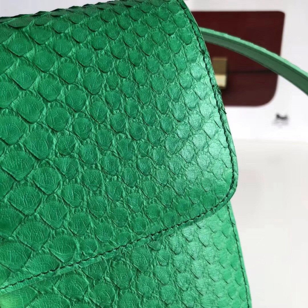 CELINE Green  Python Medium Classic Box Flap Bag