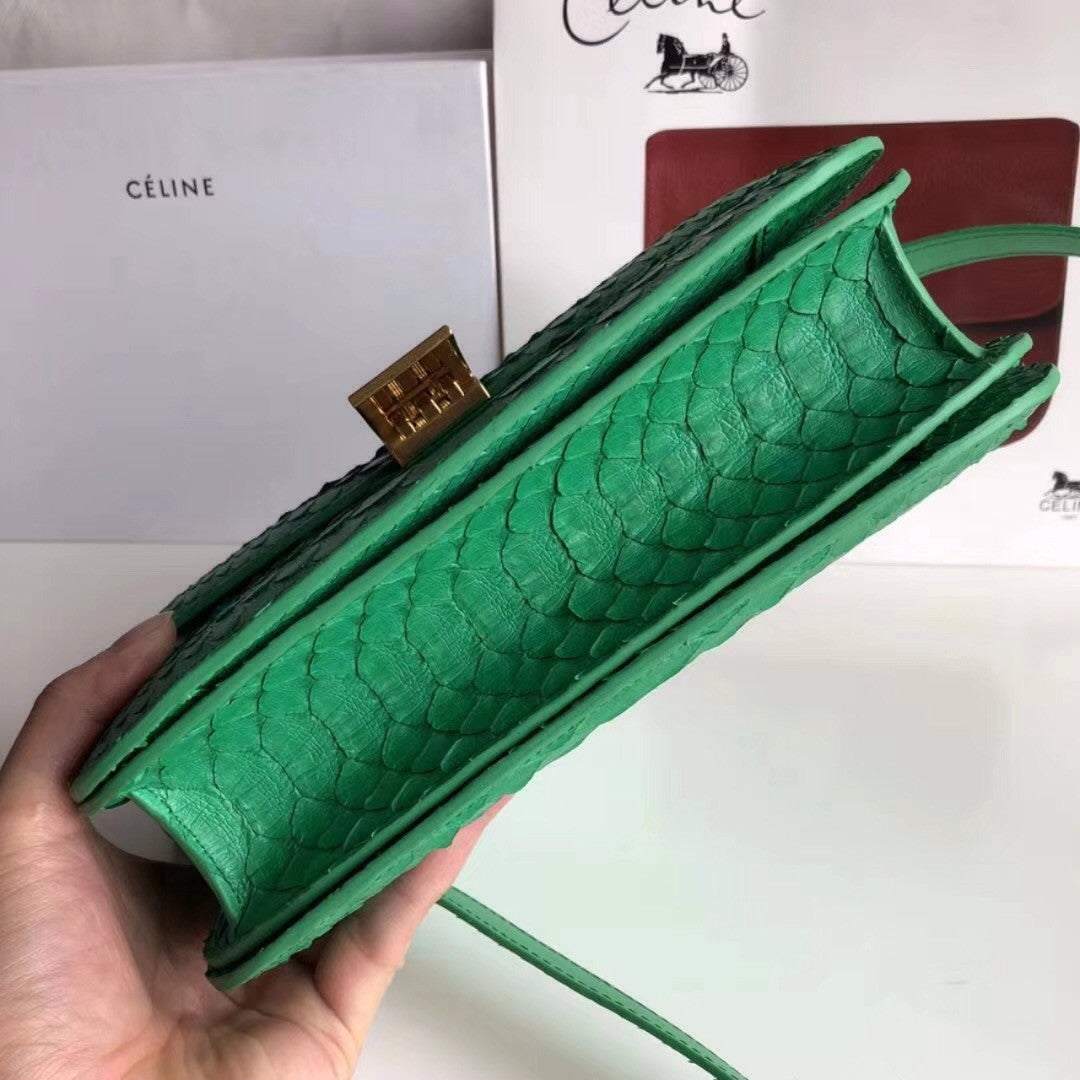 CELINE Green  Python Medium Classic Box Flap Bag