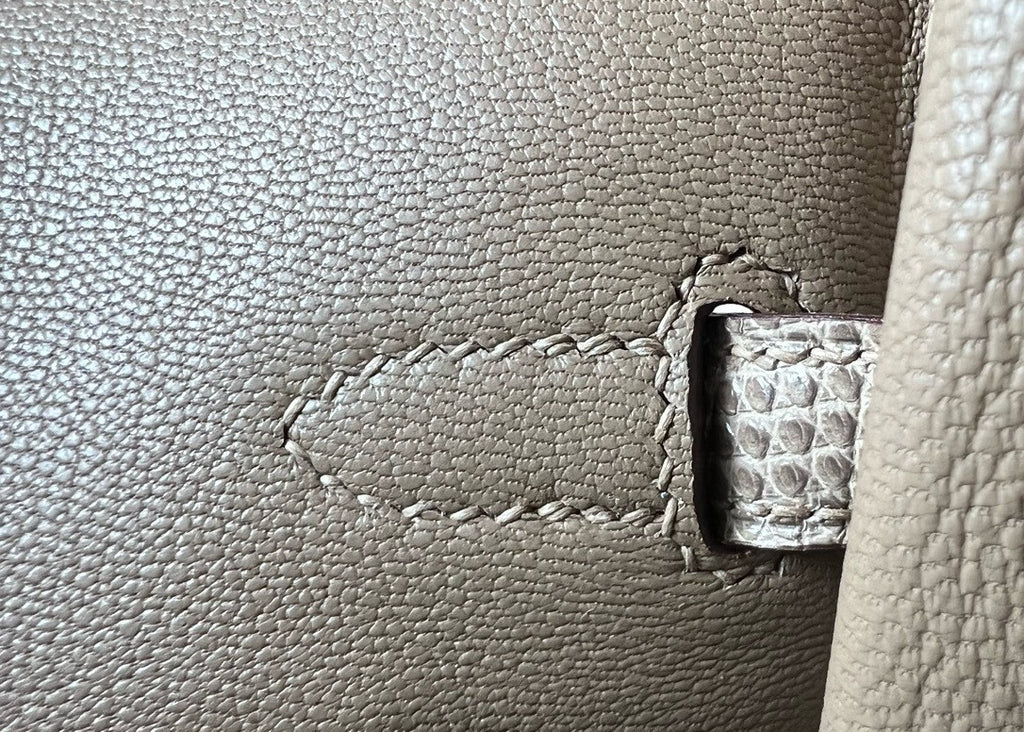 Hermes Chai Lizard Birkin Bag 25cm Palladium Hardware