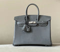 Hermes Grey Lizard Birkin Bag 25cm Palladium Hardware