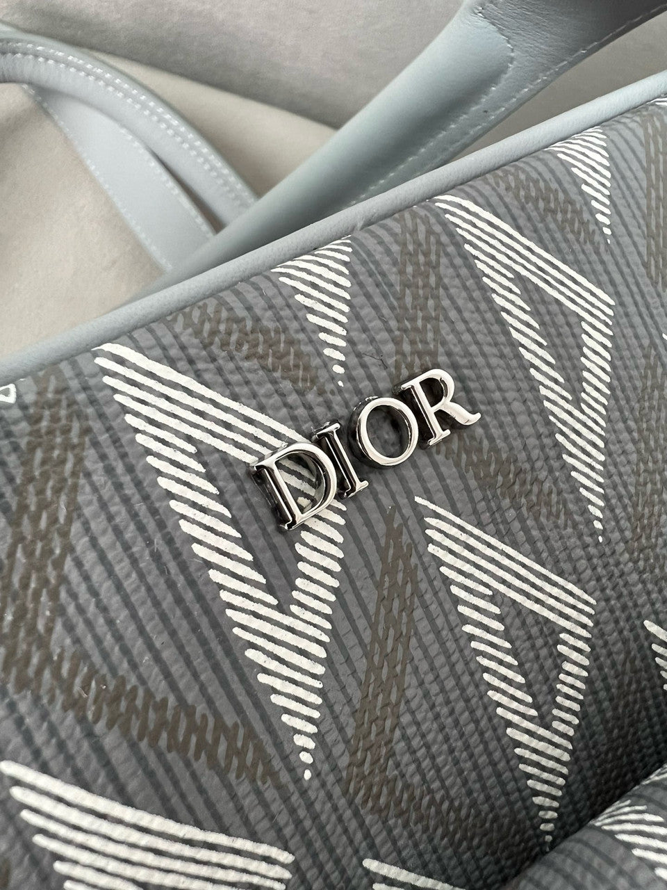 Christian Dior Hit the Road Pet Carrier Bag Dior Gray