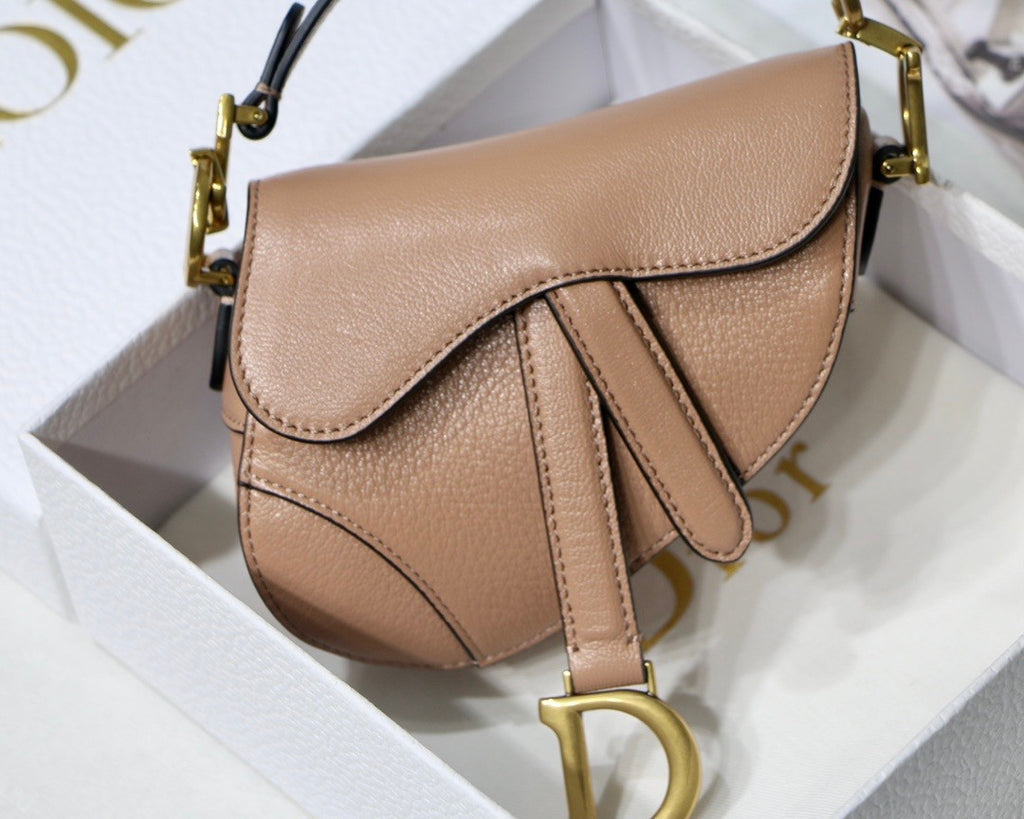 Christian MICRO SADDLE BAG Rose Des Vents Goatskin