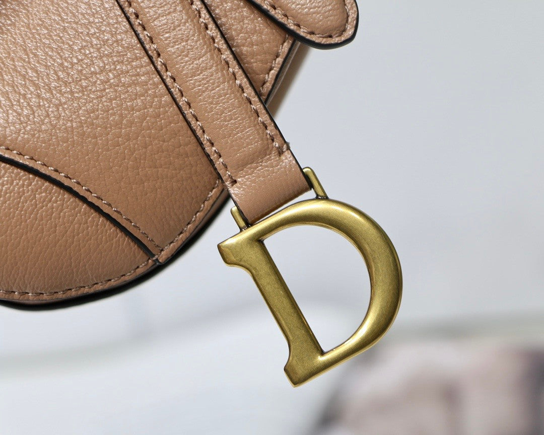 Christian MICRO SADDLE BAG Rose Des Vents Goatskin