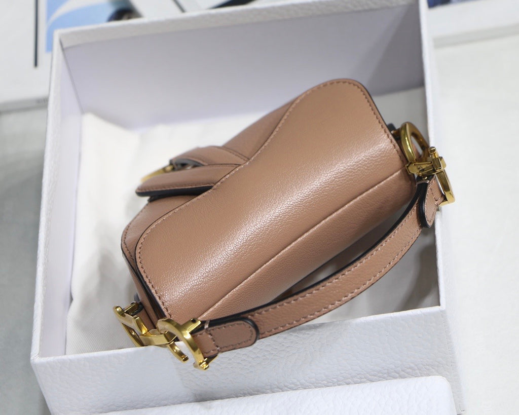 Christian MICRO SADDLE BAG Rose Des Vents Goatskin