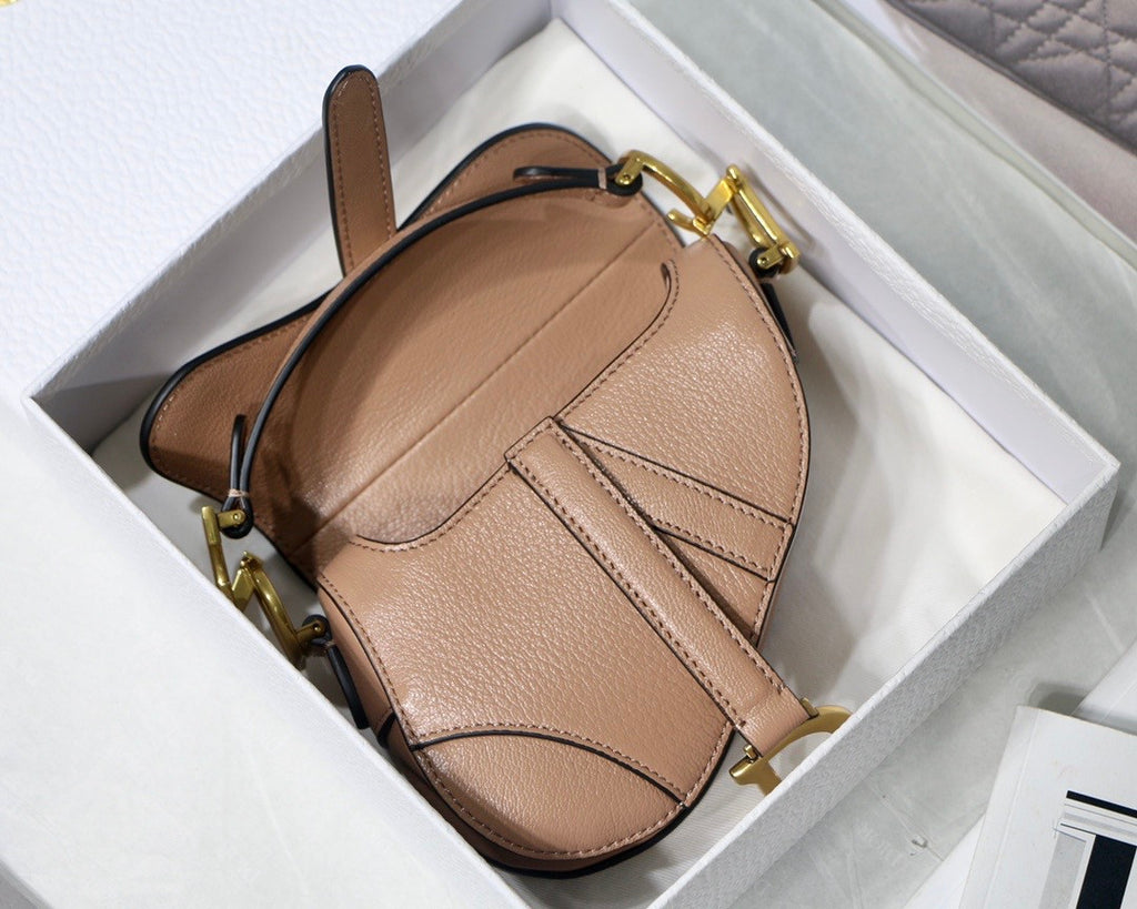 Christian MICRO SADDLE BAG Rose Des Vents Goatskin