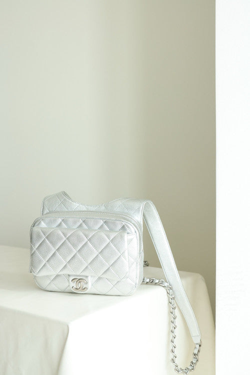 Chanel Metallic Lambskin BACKPACK 2024