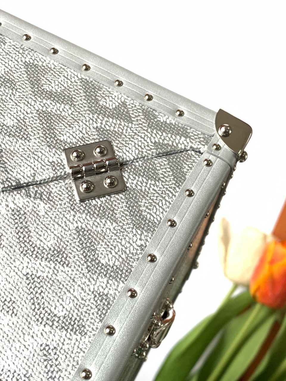 Goyard Dé Trunk Bag Metallic Silver Goyard