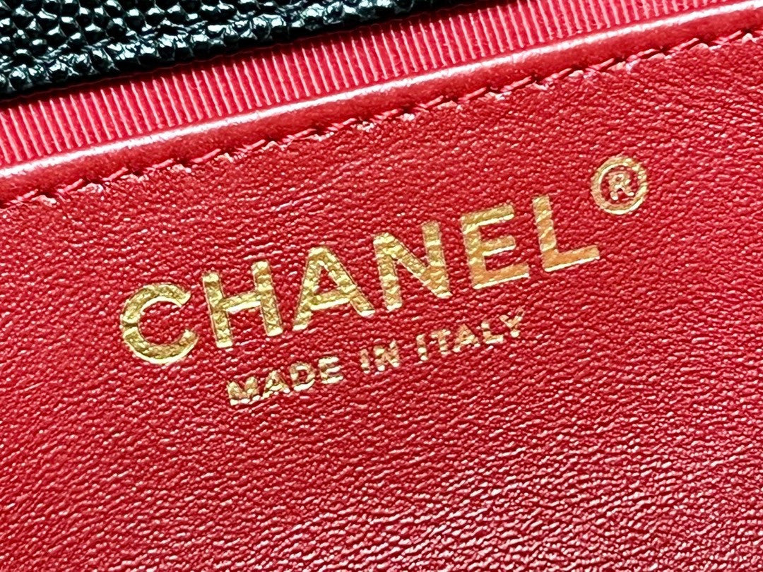 Chanel Cruise 2023 SMALL HOBO BAG BLACK
