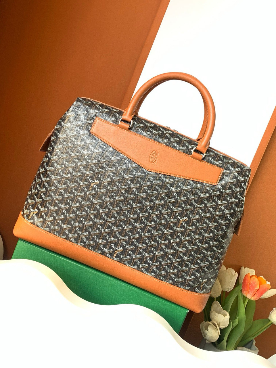 Goyard Cisalpin Document Case Black & Tan Goyard
