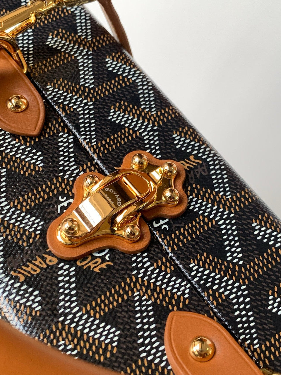 Goyard Grand Hotel Trunk Bag Black & Tan Goyard