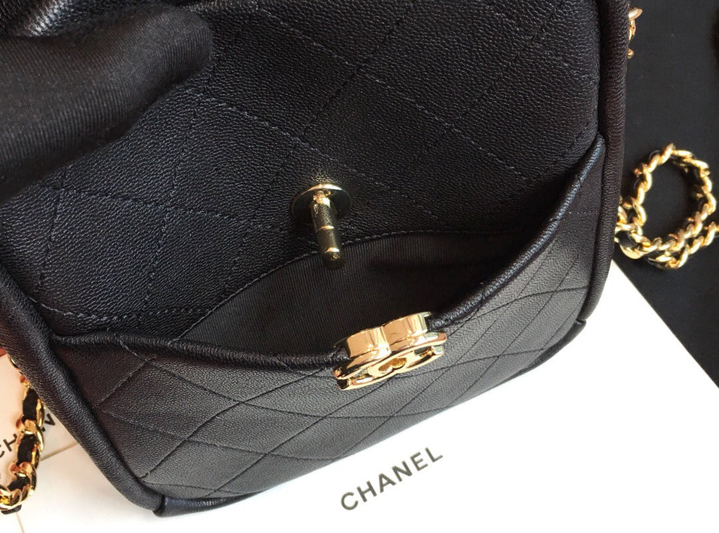 CHANEL Camera Case  AS0139