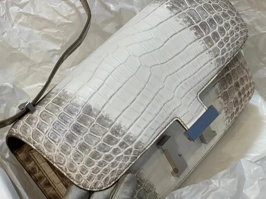 Hermès White Matte Niloticus Crocodile Himalaya Constance 24 Palladium Hardware