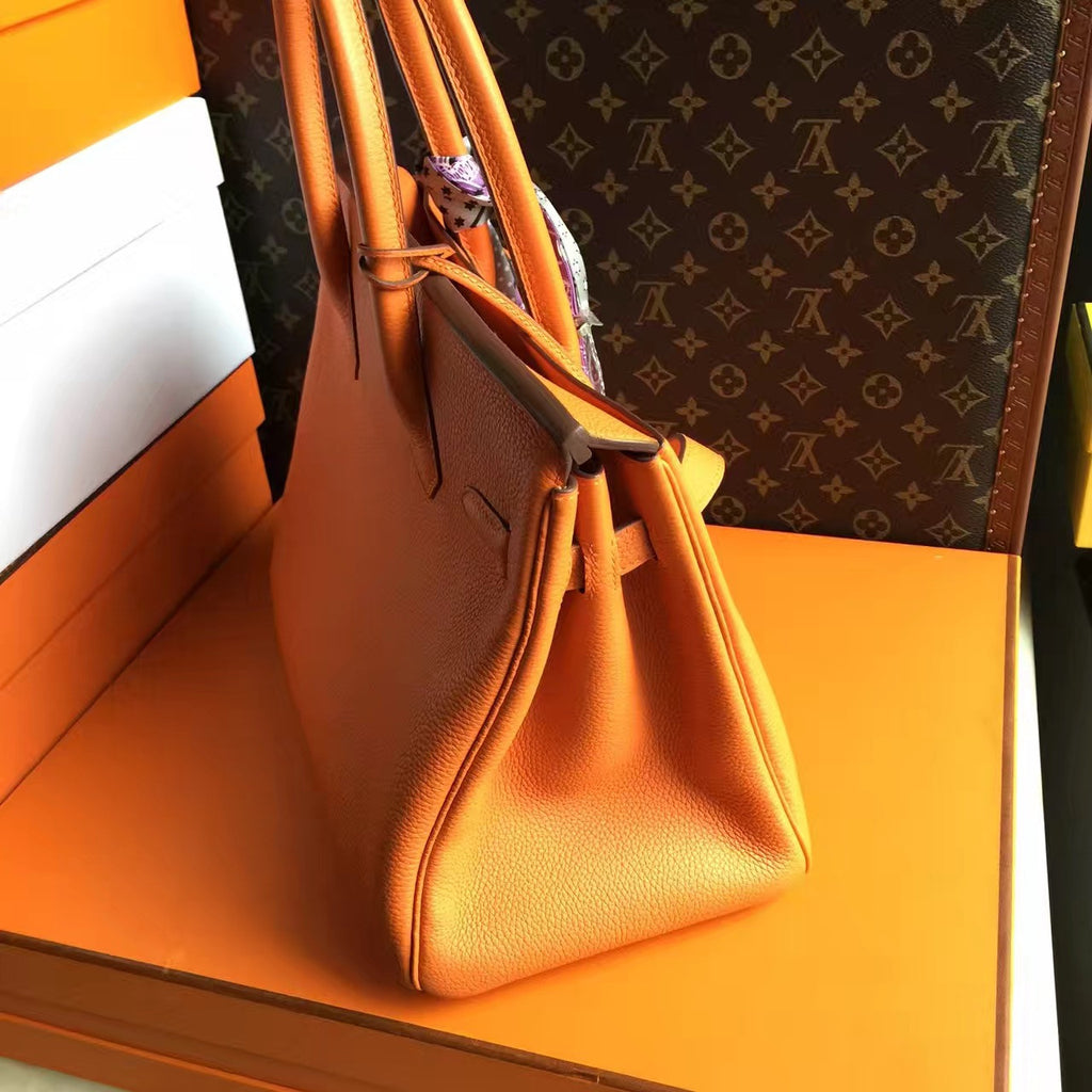 Hermes Orange Birkin Bag 25cm Palladium Hardware